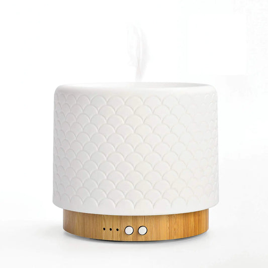 ZEIGGA LAB Essential Oil Diffuser 280ml Aromatherapy Diffuser for Large Room